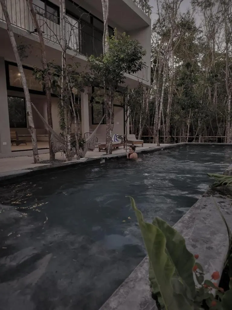 Villa Hermosa Casa Con Piscina Privada Tulum
