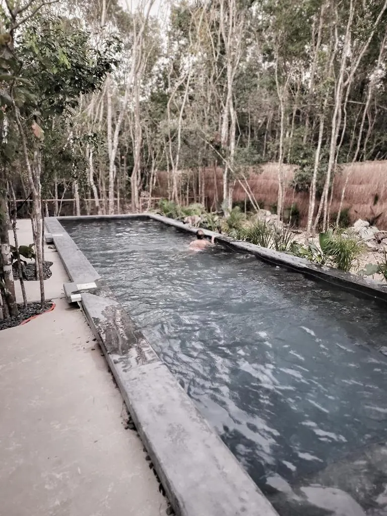 Villa Hermosa Casa Con Piscina Privada Tulum Mexico