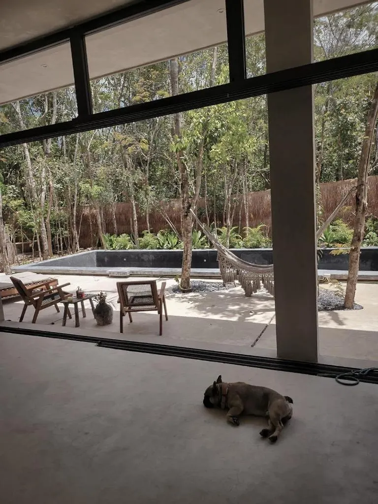 Hermosa Casa Con Piscina Privada Tulum 0*,  Mexiko